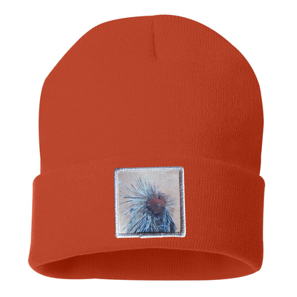 Porcupine Beanie