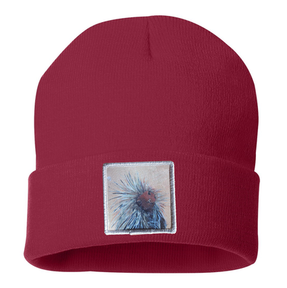 Porcupine Beanie