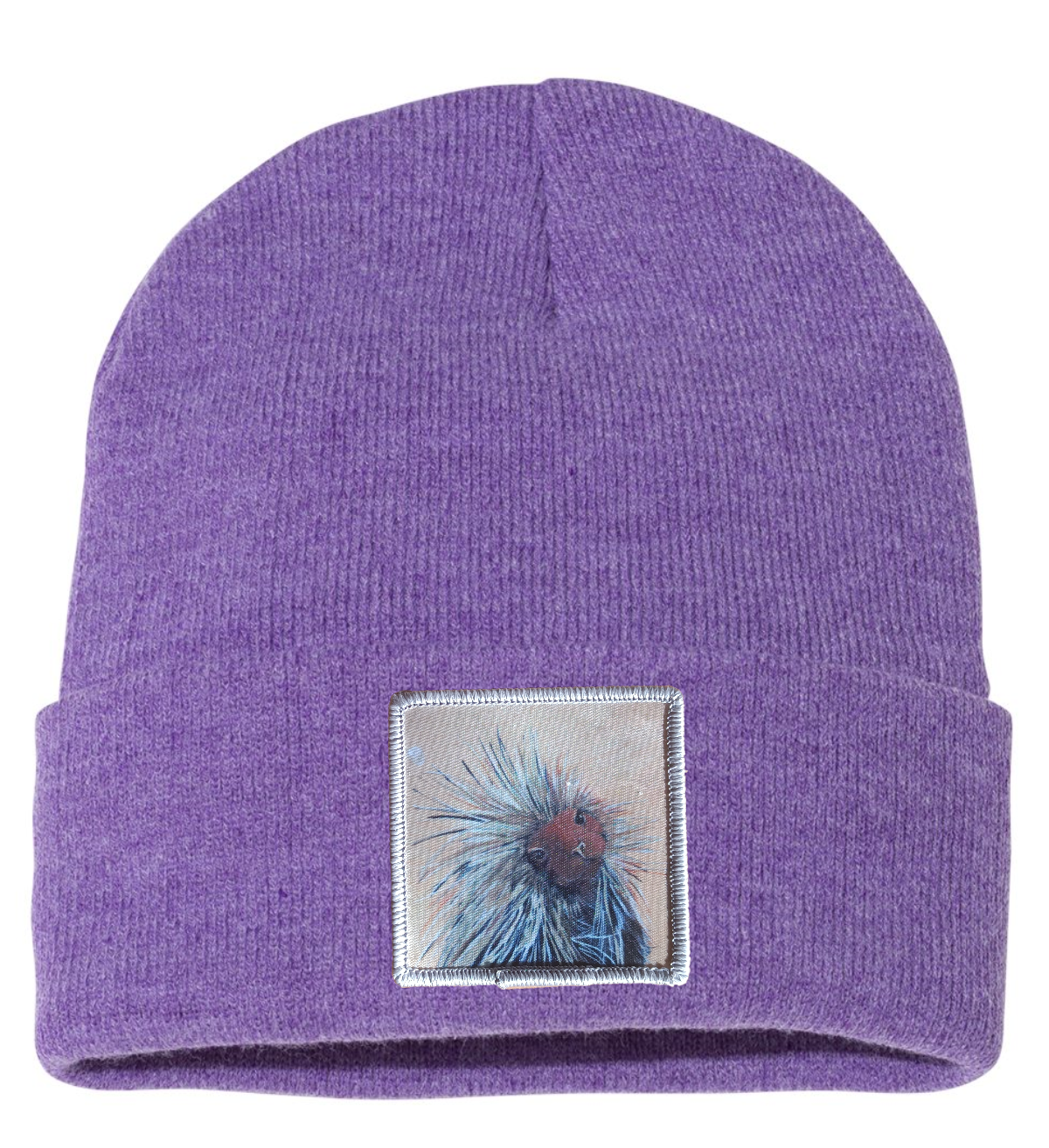 Porcupine Beanie