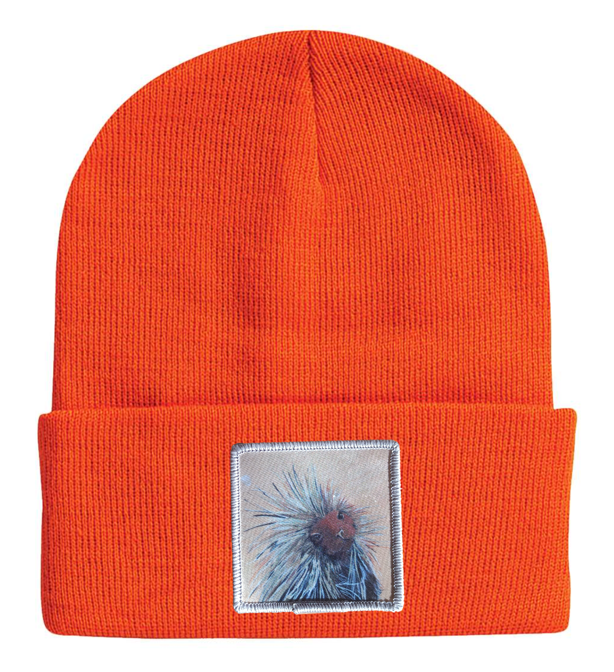 Porcupine Beanie