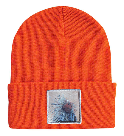 Porcupine Beanie