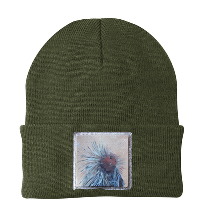 Porcupine Beanie