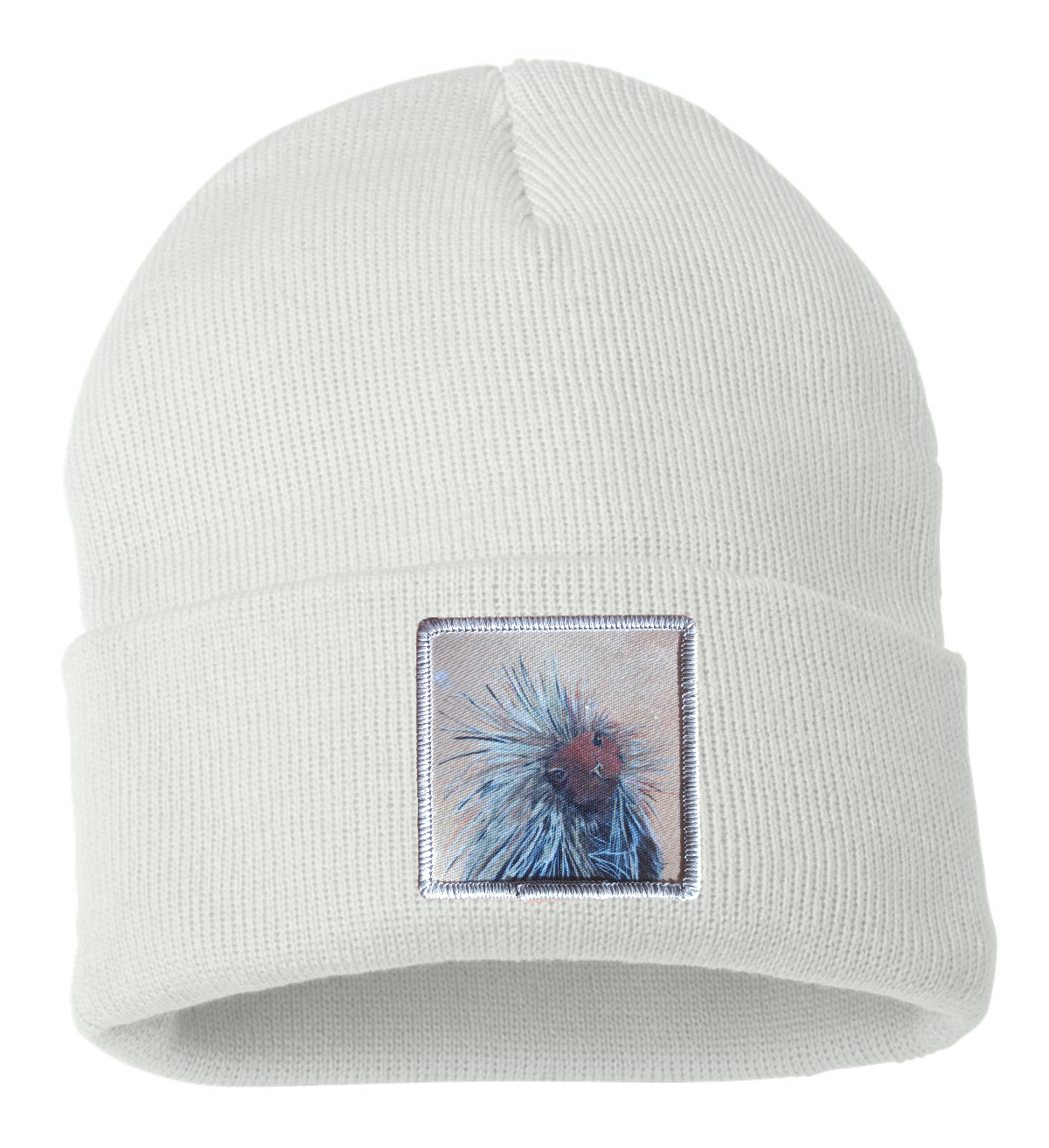 Porcupine Beanie