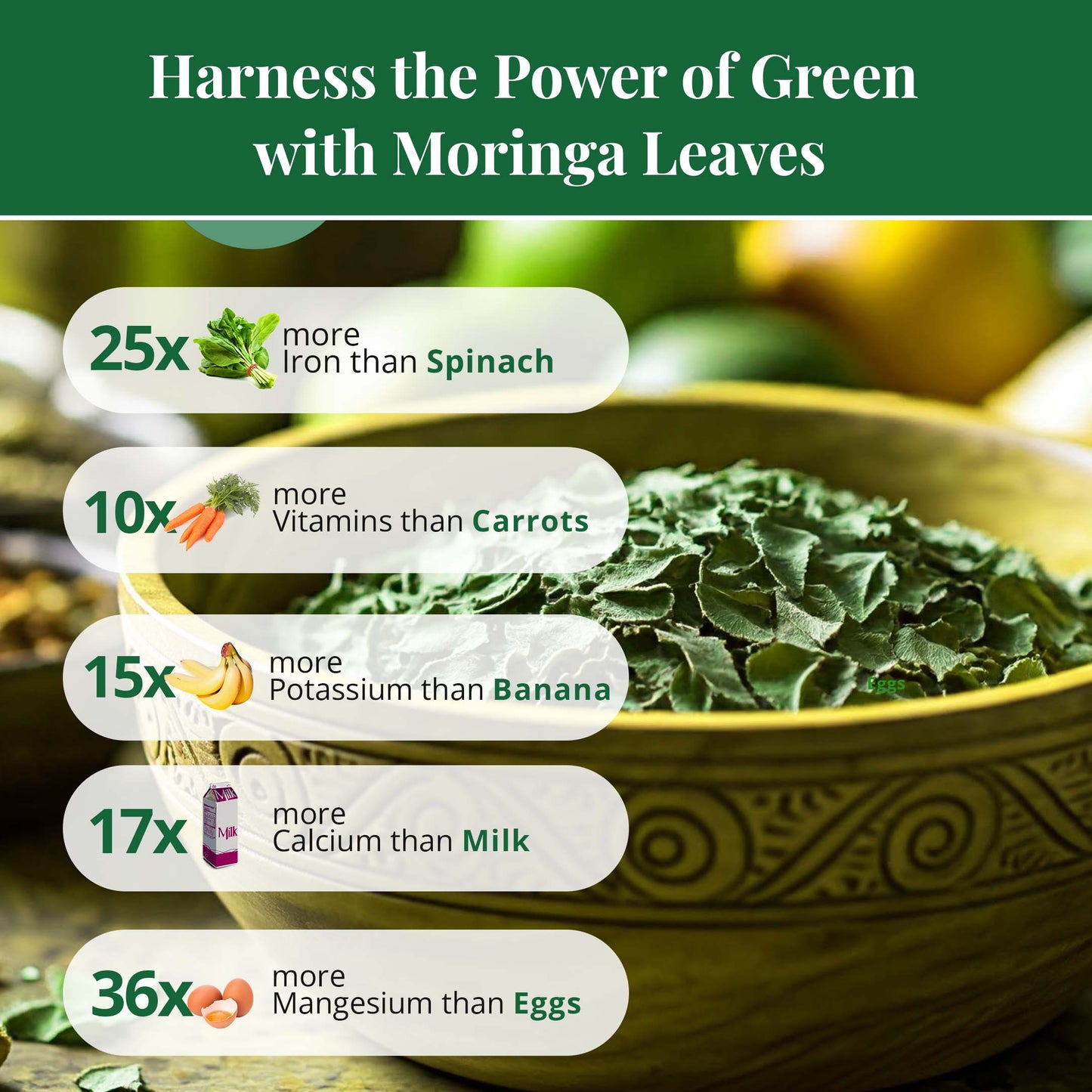 Dried Moringa Leaves 2.6 oz – Loose Leaf Herbal Tea | Akshit