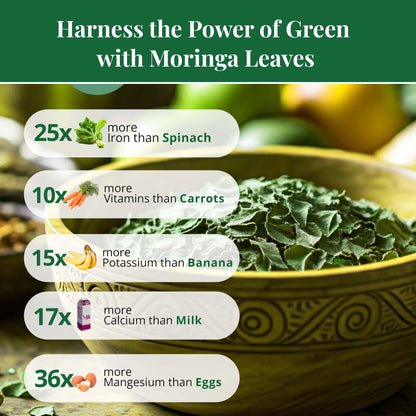 Dried Moringa Leaves 2.6 oz – Loose Leaf Herbal Tea | Akshit
