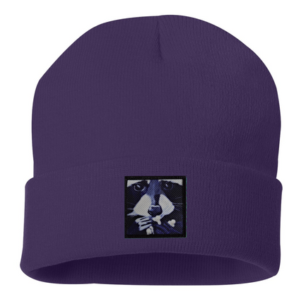 Raccoon Pop Beanie