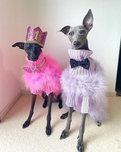 Haute Couture Feathered Luxury Pet Sweater