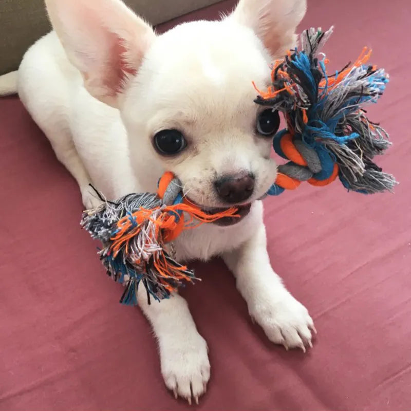 Dog Bite Rope Chew Toy