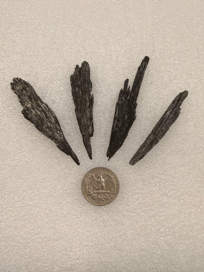 Black Kyanite Rough