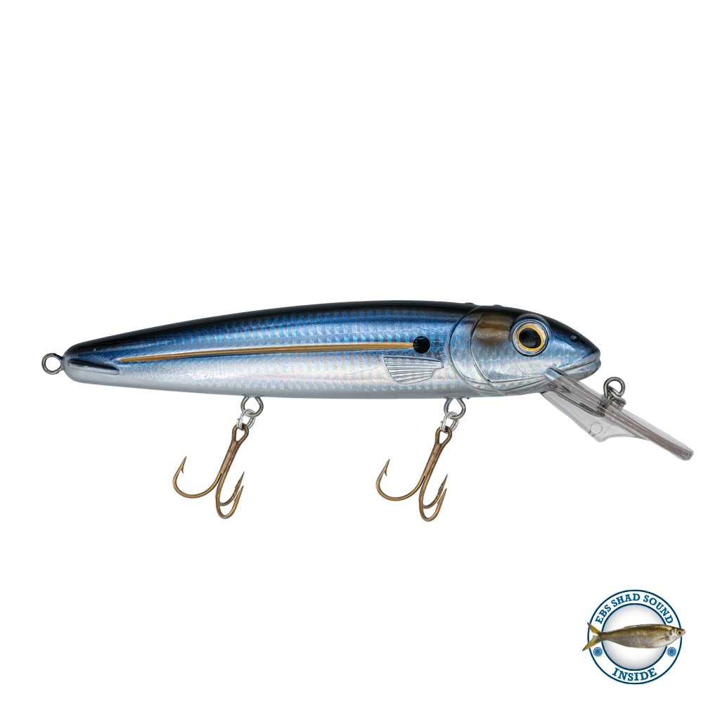 Rachel (Suspending) 8"