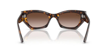 Ray-Ban 0RB4430 13591349 Men's Sunglasses Brown Lens 49mm