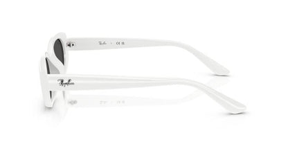 Ray-Ban 0RB4441D 67728753 Unisex Square Sunglasses 53mm