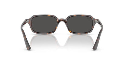 Ray-Ban 0RB4455 13598752 Men's Sunglasses Grey Lenses 52mm