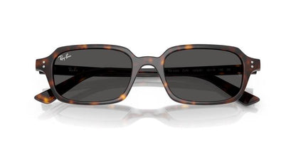 Ray-Ban 0RB4455 13598752 Men's Sunglasses Grey Lenses 52mm