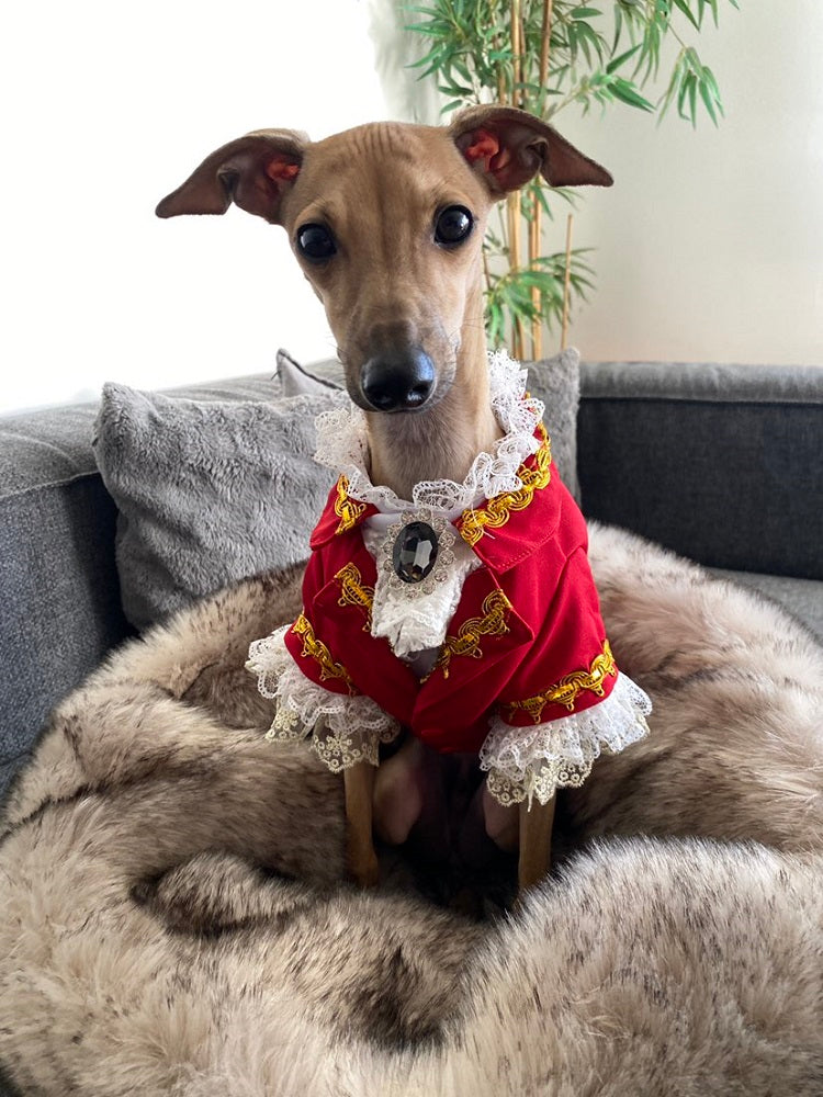 Red French Court Dog Tailcoat Suit