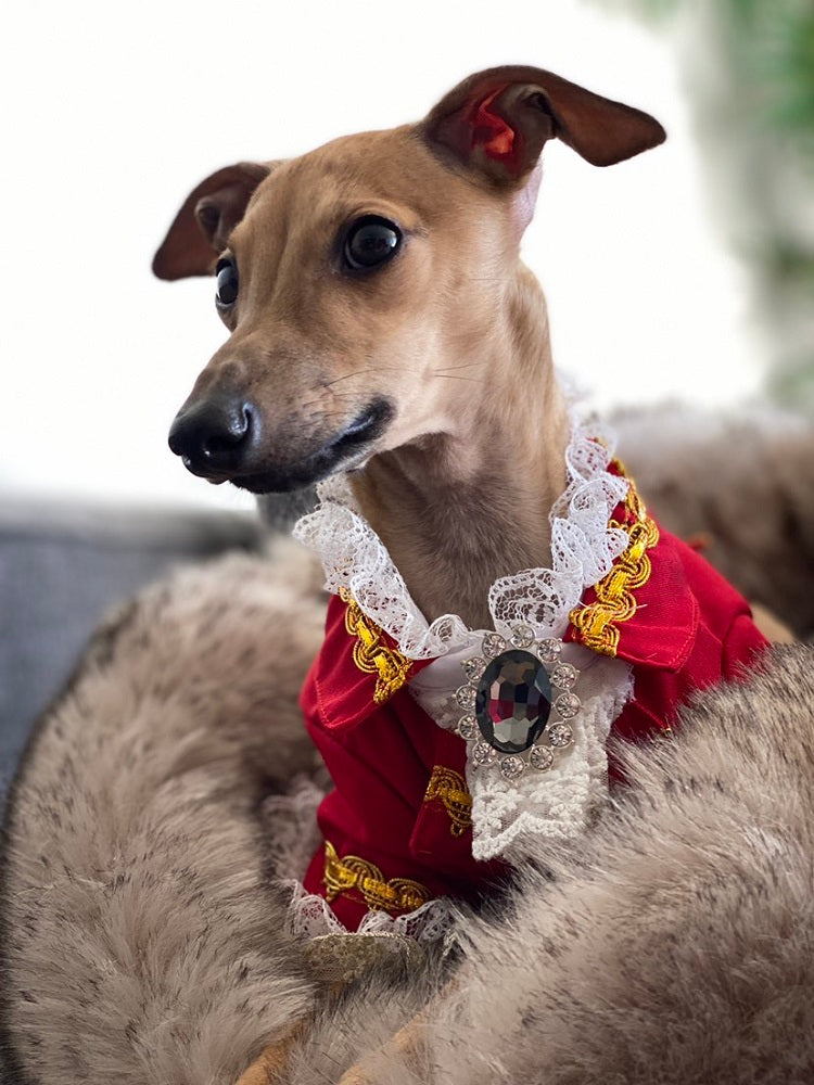 Red French Court Dog Tailcoat Suit