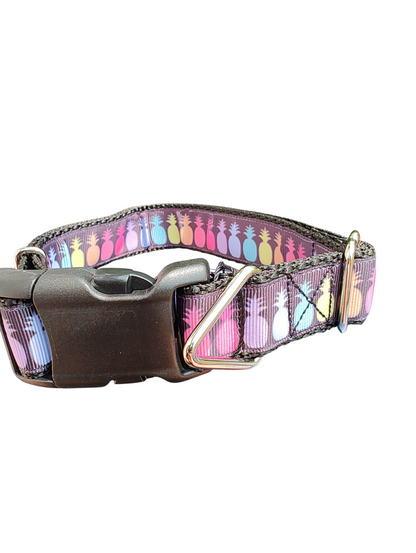 Rainbow Pineapples Nylon Dog Collar
