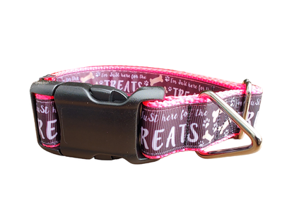 Here For The Treats Hot Pink Nylon Dog Collar MD, LG, XL, Leash