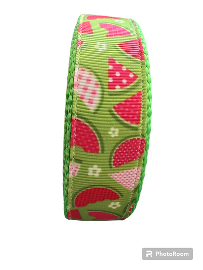 Watermelon Picnic Hot Pink Nylon Dog Collar MD, LG, XL, Leash