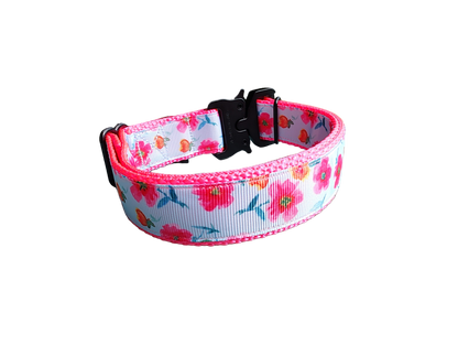 Bright Flowers Nylon Dog Collar