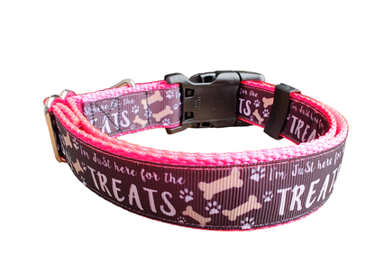 Here For The Treats Hot Pink Nylon Dog Collar MD, LG, XL, Leash