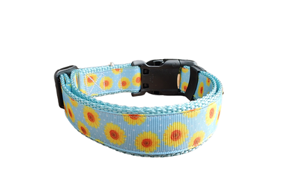 Yellow Flowers Light Blue Nylon Dog Collar MD, LG, XL, Martingale, Leash