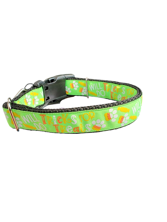 Tricks For Treats Nylon Dog Collar
