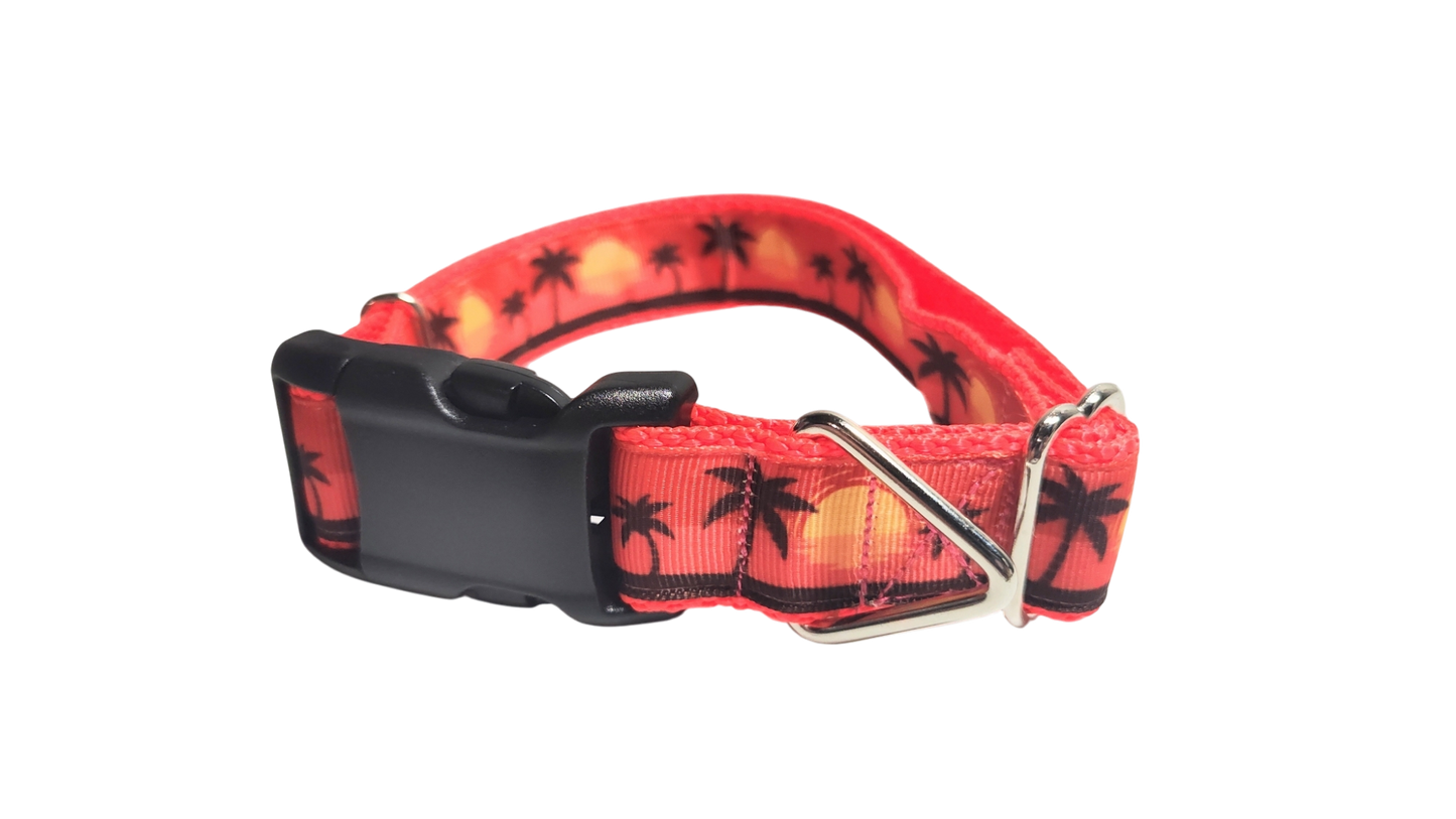 Beach Sunsets Nylon Dog Collar