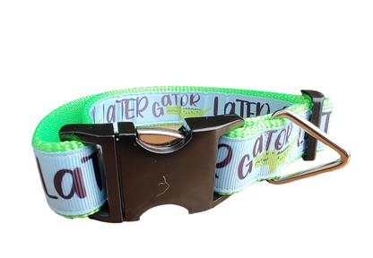 Later Gator Neon Green Nylon Dog Collar MD, LG, XL, Leash, Martingale