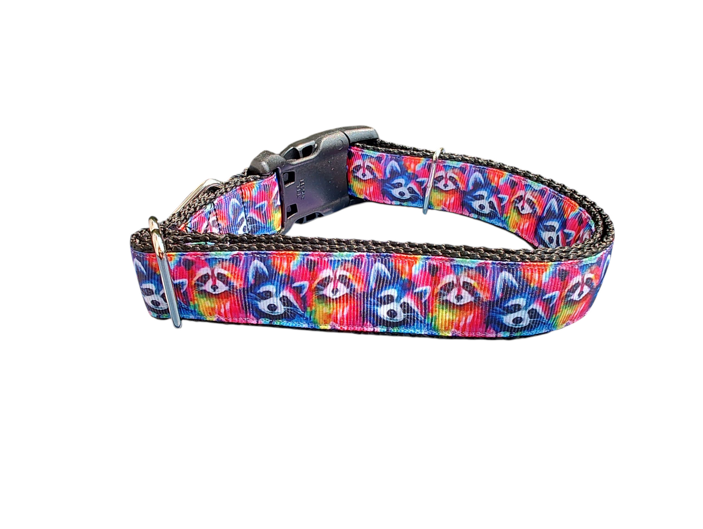 Trash Panda Raccoons Nylon Dog Collar