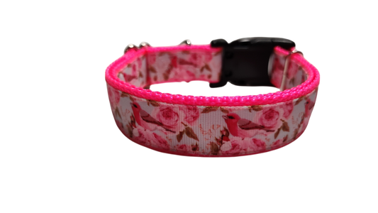 Rose Finch Bird Nylon Dog Collar