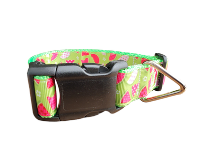 Watermelon Picnic Hot Pink Nylon Dog Collar MD, LG, XL, Leash