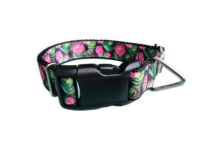 Protea Flower Nylon Dog Collar
