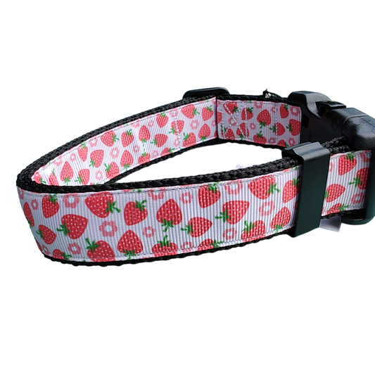 Strawberry Flowers Black Nylon Dog Collar MD, LG, XL, Leash