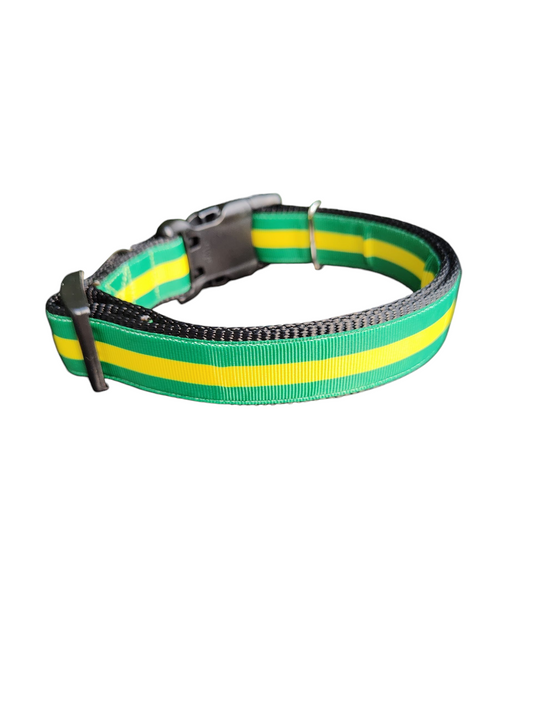 Green And Gold Nylon Dog Collar