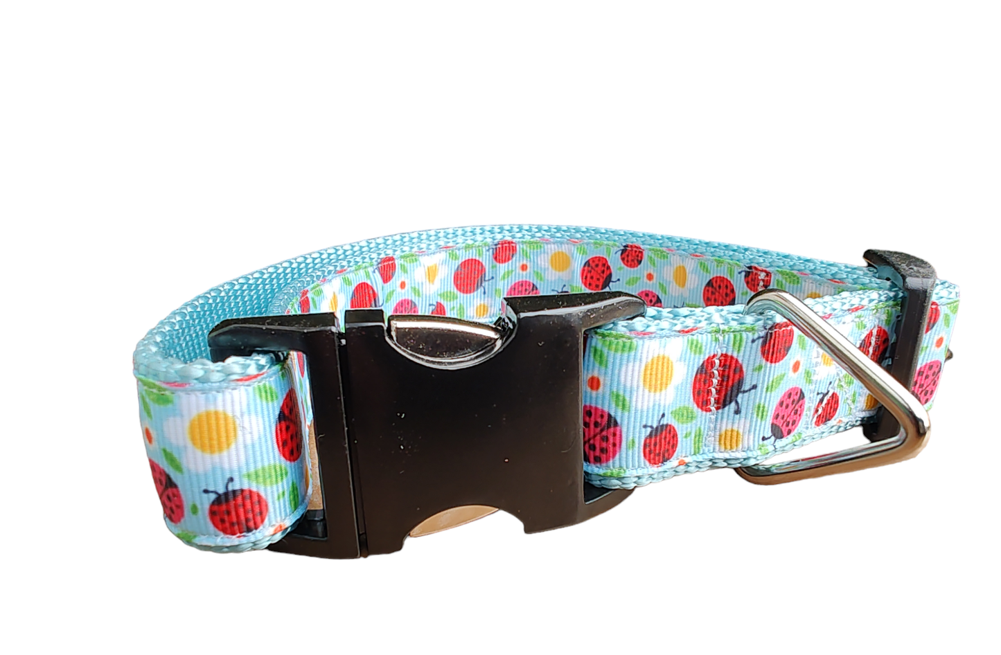 Ladybugs and Daisies Light Blue Nylon Dog Collar MD, LG, XL, Leash