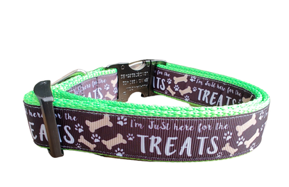 Here For The Treats Neon Green Nylon Dog Collar MD, LG, XL, Leash