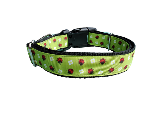 Little Ladybug Nylon Dog Collar