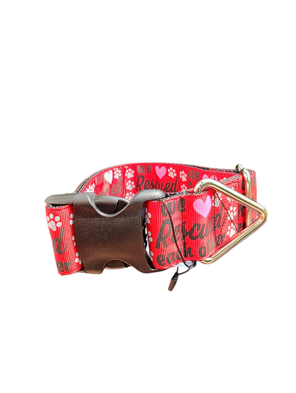 1.5" Wide We Rescued Each Other Nylon Dog Collar