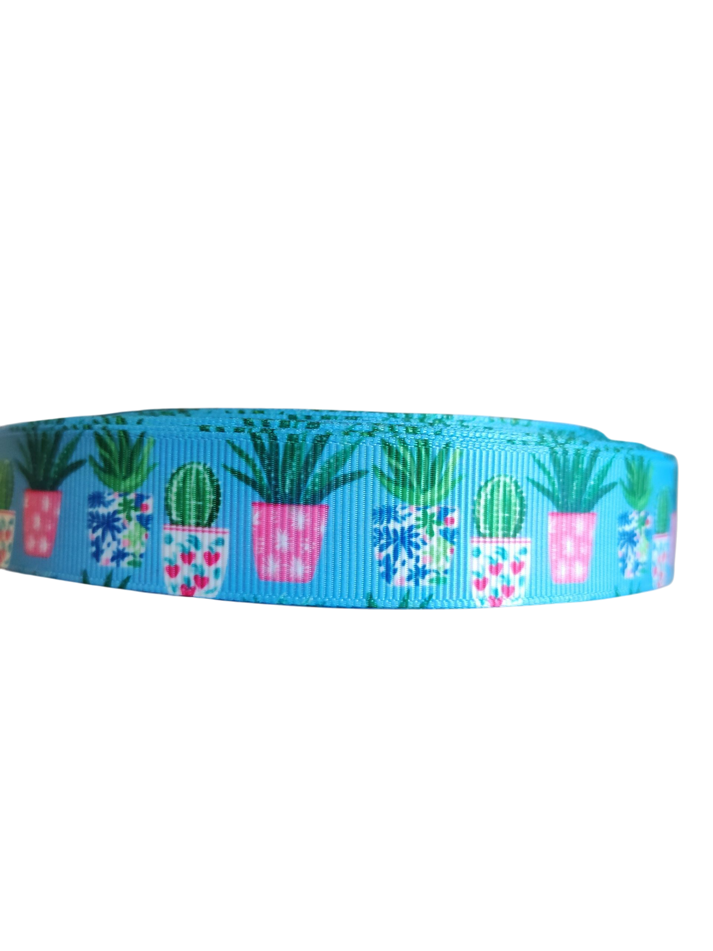Potted Cacti Nylon Dog Collar
