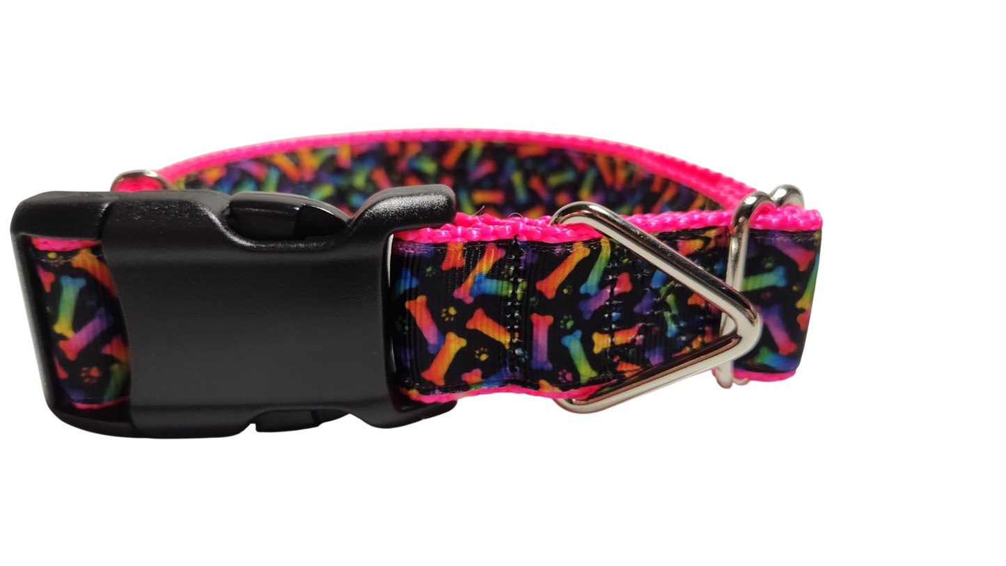 Neon Bones Nylon Dog Collar MD, LG, XL, Leash