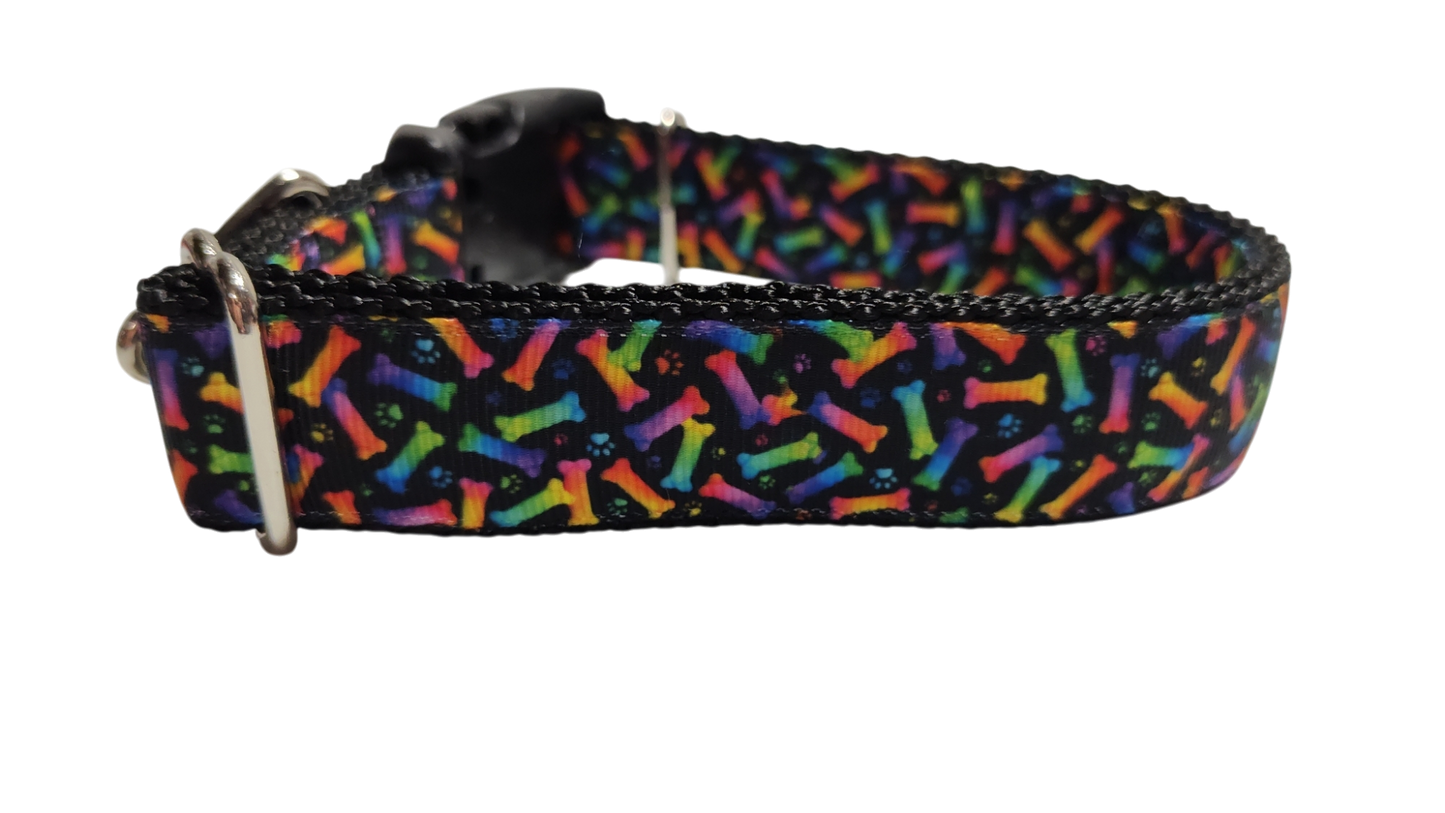 Neon Bones Nylon Dog Collar MD, LG, XL, Leash