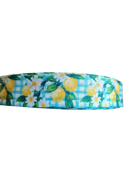 Gingham Lemons Nylon Dog Collar