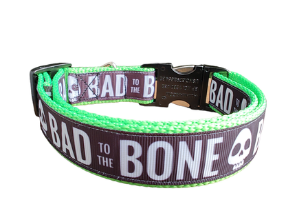 Bad To The Bone Neon Green Nylon Dog Collar MD, LG, XL, Leash