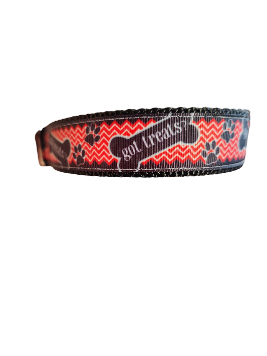 Got Treats? Nylon Dog Collar