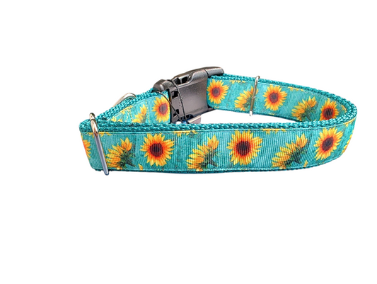 Sunflower Heads Nylon Dog Collar