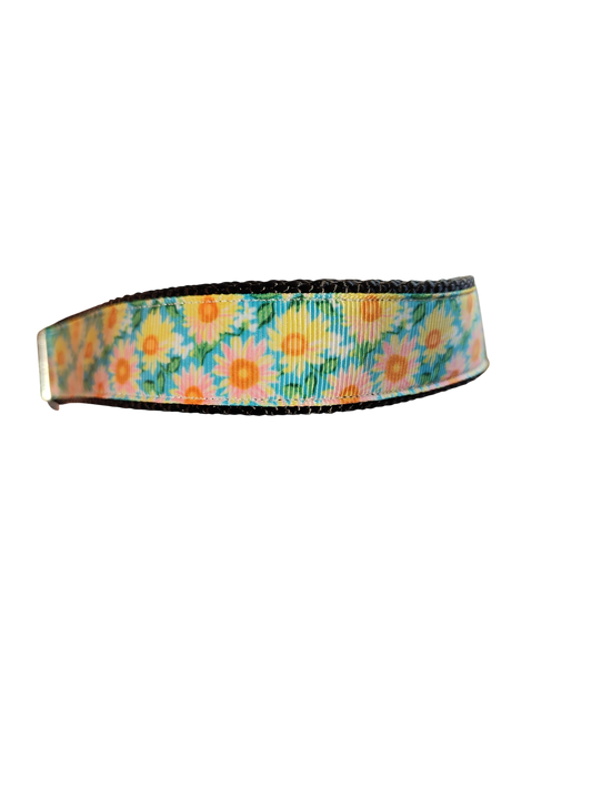Flower Rows Nylon Dog Collar