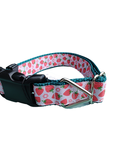 Strawberry Flowers Green Nylon Dog Collar MD, LG, XL, Leash