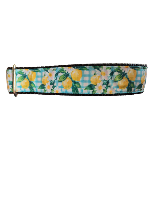 Gingham Lemons Nylon Dog Collar