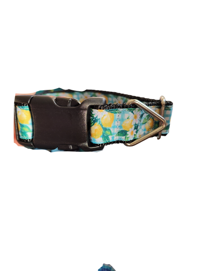 Gingham Lemons Nylon Dog Collar